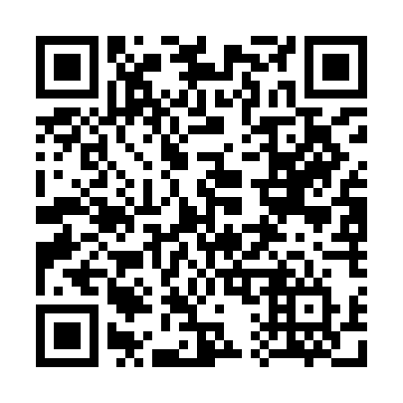 QR code for 317-IEV