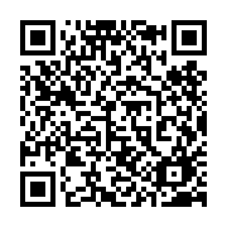 QR code for 317-TAG