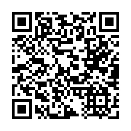 QR code for plate 317-SYO
