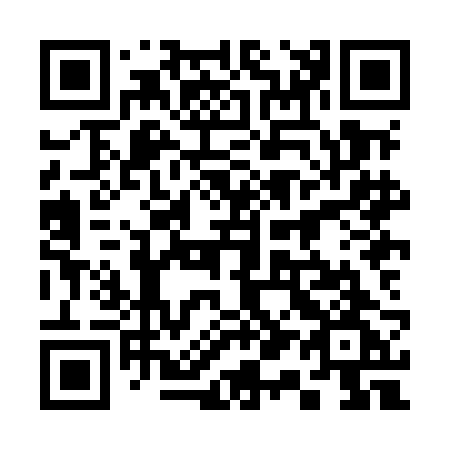 QR code for plate 318-MBG