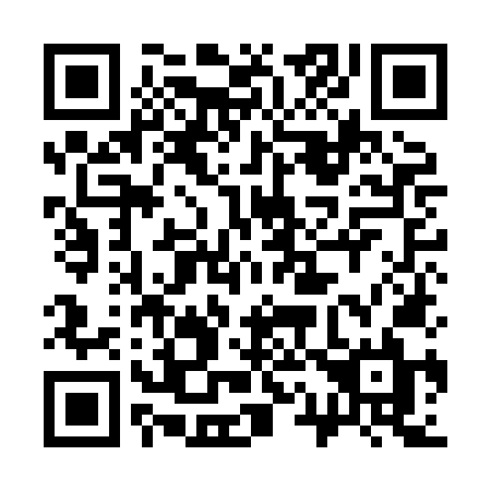 QR code for 319-HNL