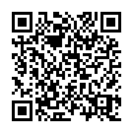 QR code for 319-IFP
