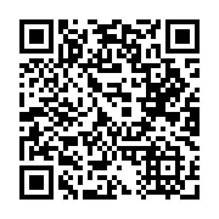 QR code for plate 319-MMK
