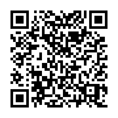 QR code for plate 321-RAP