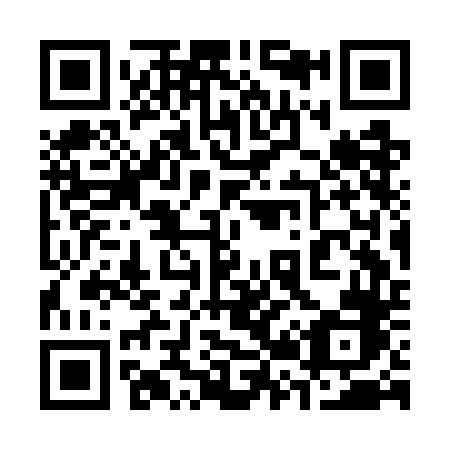 QR code for plate 323-GDB