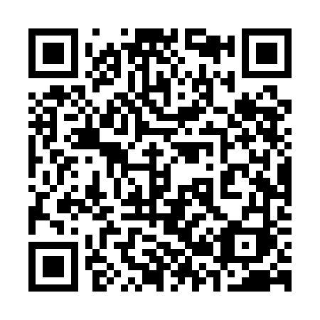 QR code for plate 324-QFI