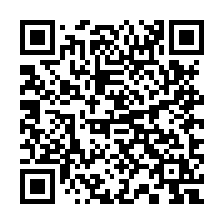 QR code for 325-HYX