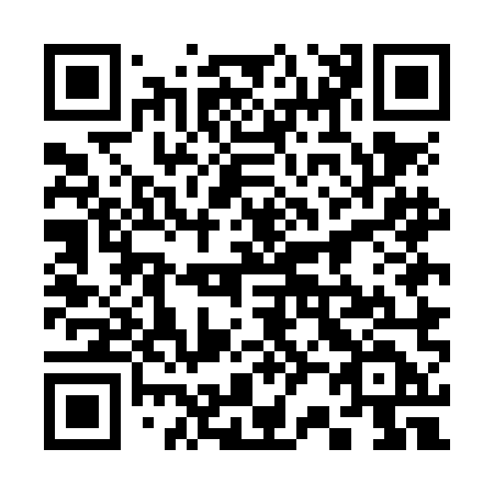 QR code for plate 325-NMD