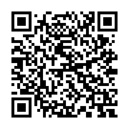 QR code for plate 328-VGX