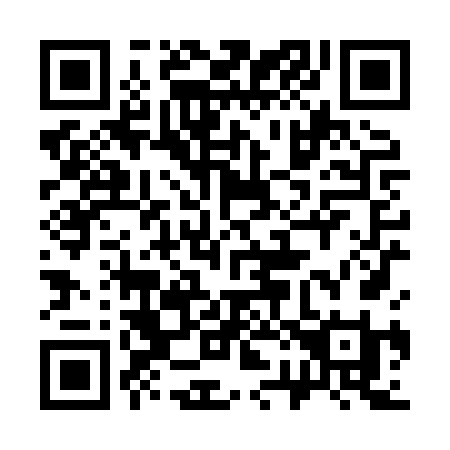 QR code for plate 328-XVI