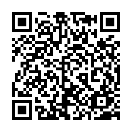 QR code for plate 331-MRT