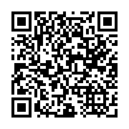 QR code for 333-CRM