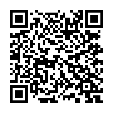 QR code for 333-LDG