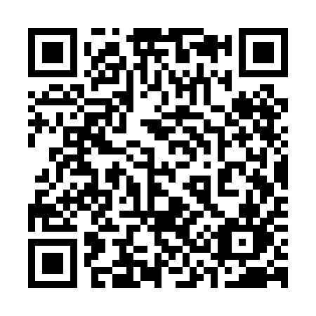 QR code for 333-PAN