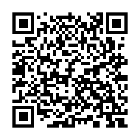QR code for 333-QAM
