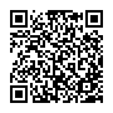 QR code for 333-QLT