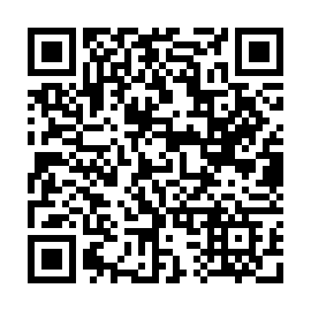 QR code for 333-SFG
