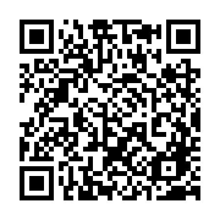 QR code for 333-STG