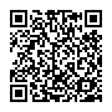 QR code for 333-TCM