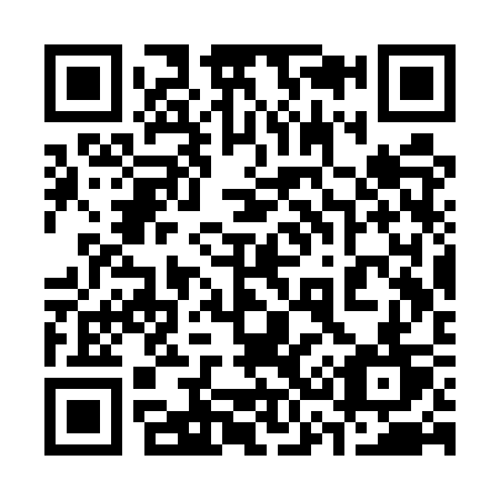QR code for 333-UST