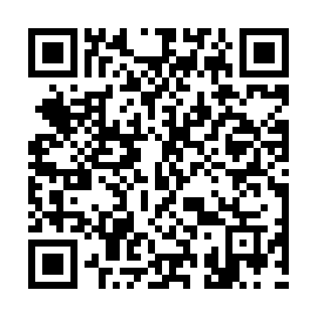 QR code for 333-XJW