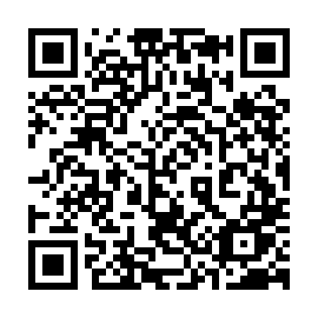 QR code for plate 333-ALU