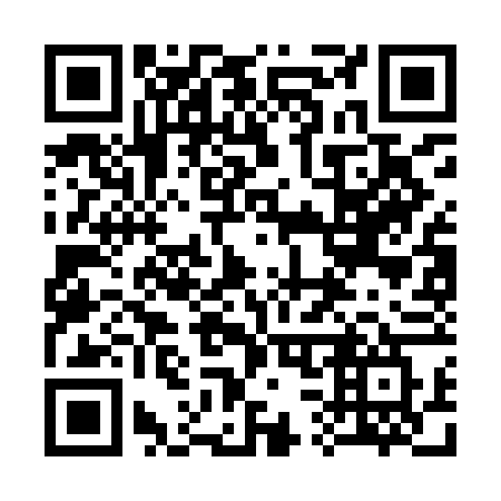 QR code for plate 333-IFW