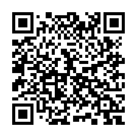 QR code for plate 333-JOD
