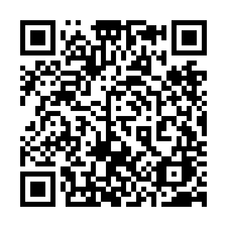 QR code for plate 333-NOC
