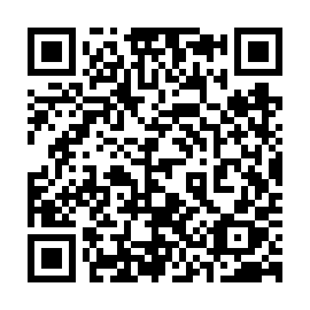 QR code for plate 333-VPX