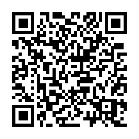 QR code for plate 333-WTS