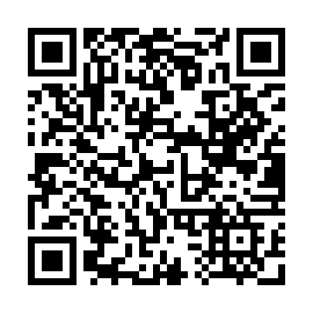 QR code for plate 334-YFG