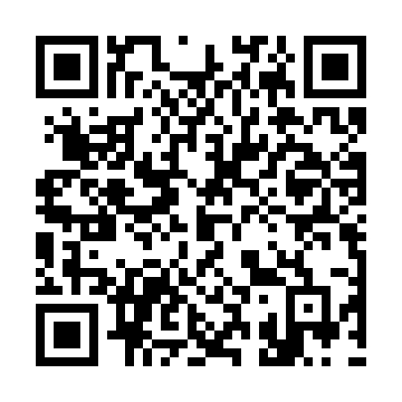 QR code for 335-CMD