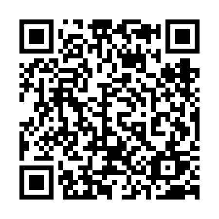 QR code for 335-FCT
