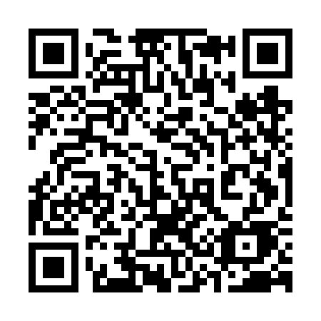 QR code for 335-FSE