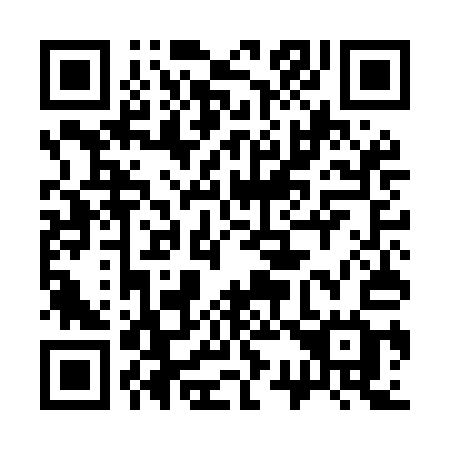 QR code for 335-MAG