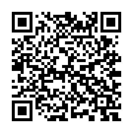 QR code for 335-VHS
