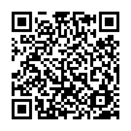 QR code for plate 335-DSB