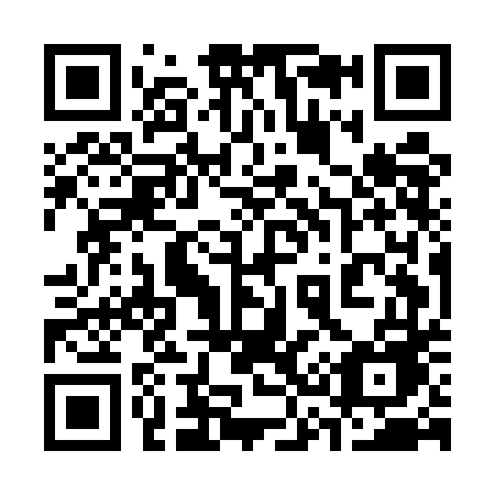 QR code for plate 335-EDE
