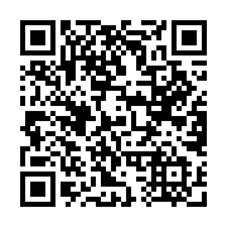 QR code for plate 335-GIL
