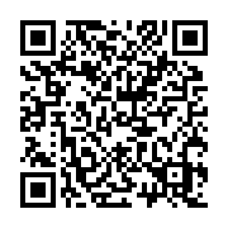 QR code for plate 335-JRZ