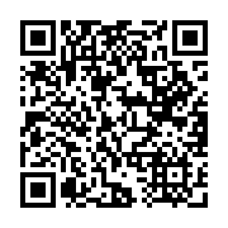 QR code for plate 335-MCN