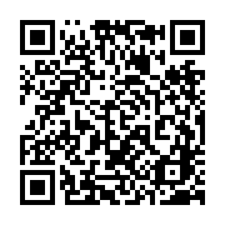 QR code for plate 335-NDC