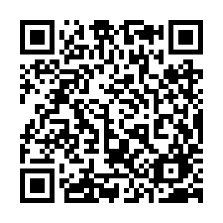 QR code for plate 335-RYG