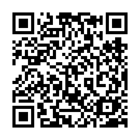 QR code for plate 335-VGM
