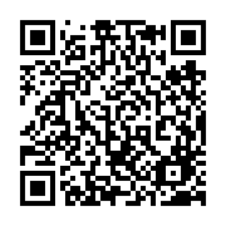 QR code for plate 335-VTD