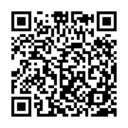 QR code for plate 335-XDH