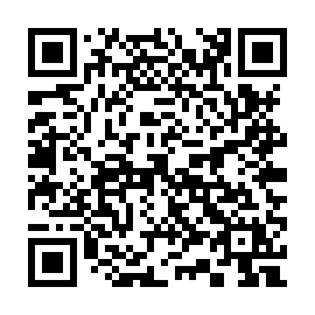 QR code for plate 335-XQX