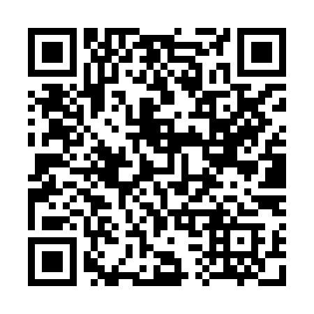QR code for 336-XIC