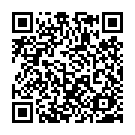 QR code for plate 336-DZM